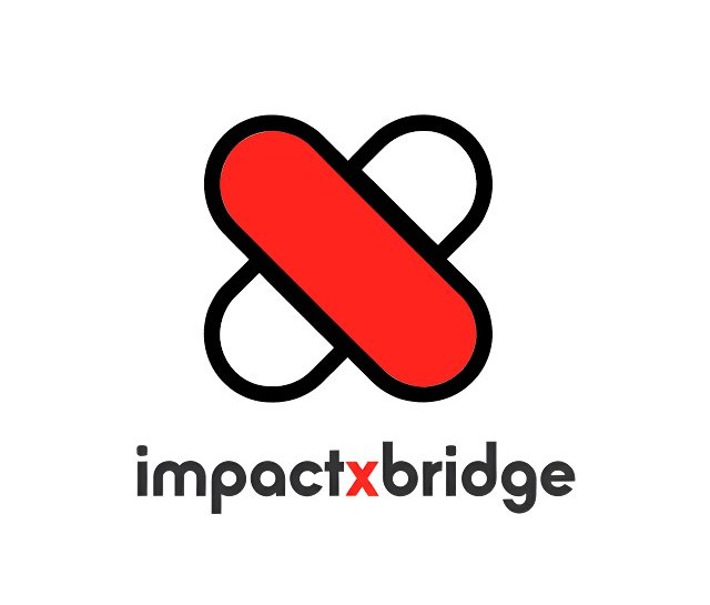 ImpactX Bridge
